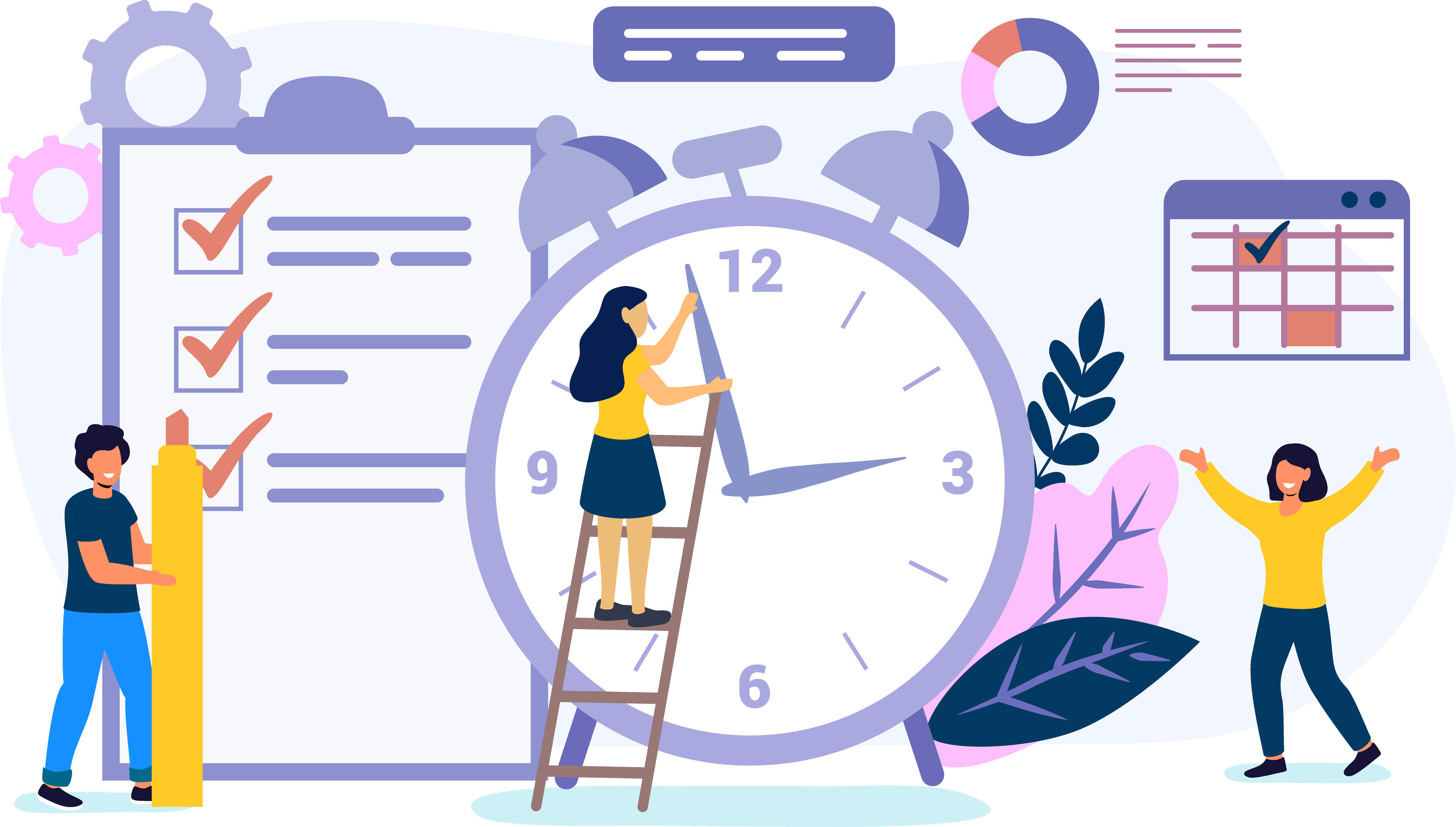 Management Dashboard